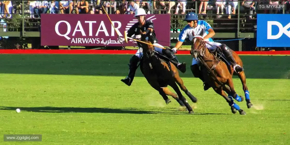 🏅荣耀见证，每一份汗水都值得铭记！🎉